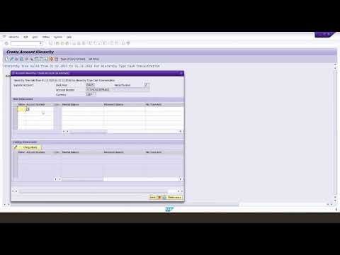 SAP In-House Cash Concentration (IHC) Concentration