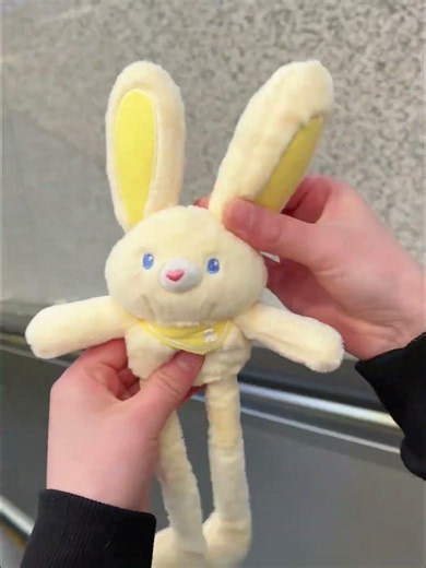 Considering our relationship, is it too much to ask for a cheese yellow lop-eared rabbit?