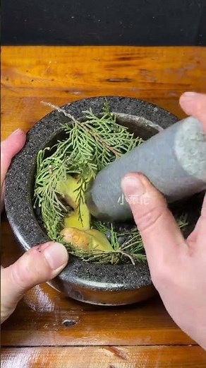 Revolutionize Your Garden: Growing Oriental Arborvitae & Ligustrum Lucidum