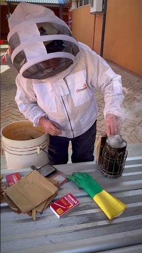 Buzzing Around Bunbury 🐝 #beerelocation #pollinators