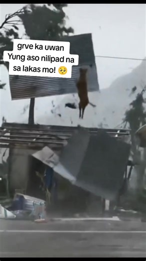 Typhoon Uwan | Alexis Ellis Magallanes