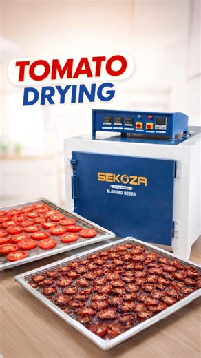 Best Food Dryer for Tomatoes? | Sekoza Machine Demo