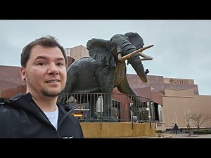 Blackhawk Museum, Classic cars and lots of animals.