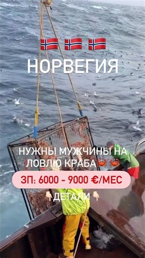 Не можеш знайти нормальну роботу? 😩