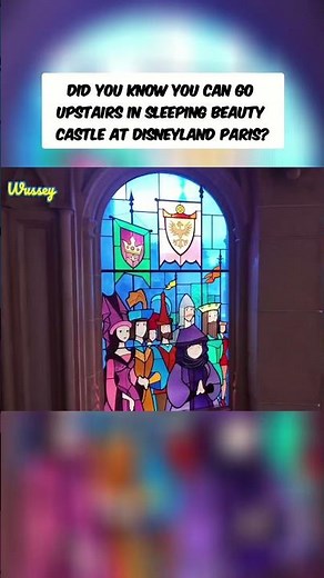 Sleeping Beauty Disneyland Castle Secrets: Never Before Seen Views!