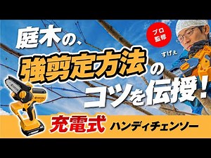 【プロが教える！】庭木の強剪定！京セラの電動工具を使ってみた「充電式ハンディチェンソー BHCS-1810L1」