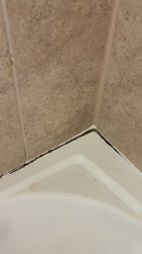 ✨ Watch this grout go from filthy to fresh! Using the AZQPOD Seal & Grout Home Stain Cleaner, I tackled stubborn grout stains, mold, mildew, and deep-set bathroom grime. This grout cleaner, tile whitening formula, and powerful stain remover made my sink, tub, and tile look brand new. If you need a fast bathroom deep clean or a viral home cleaning hack, this stuff is a MUST. 識✨ | Crystal Miller | Facebook