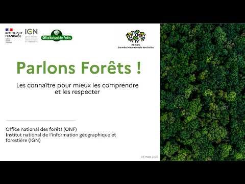 Parlons Forêts ! Les connaître pour mieux les comprendre et les respecter | Webinaire du 25.03.26