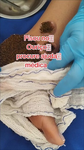 Dra.Sophia Bekeer no TikTok