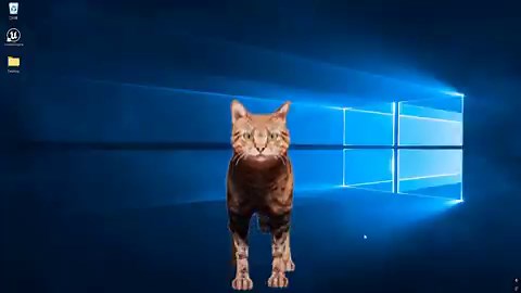 ヒュドラの教室の開発資金調達のつもりで作ってみているアプリ、「じゃま猫/JamaNeko」の動作テスト。猫を飼ったことがある人は、モニタの前を歩いたりわざわざキーボードの上で寝そべったりと、「すげぇ邪魔なんだけどかわいいくて和む」みたいな経験があると思うんですけど、それを再現できないかなと思って開発しています。デスクトップをなるべく邪魔しないという従来の駐屯アプリの真逆のコンセプト。とりあえずUnrealEngineからC++経由でWindowsAPIをいじるやり方が分かったので、これはただの動作テストですが、マウスカーソルを目で追ったり、近づいたら猫ぱんちしたりさせる予定。体形も変えられます。ヒュドラの教室もそうですが、個人開発なので、ご支援・ご寄付いただけると助かります。１０００円とかでも嬉しいです（何かお礼します）DMください😇#じゃま猫 #ヒュドラの教室