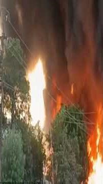 🚨 50+ LPG Cylinders Explode in Lucknow 😱 Massive Fire Leaves 1000+ Homeless |