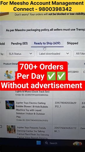 700+ Orders Daily Without Advertisement! 💥 Meesho Growth Case Study #meeshoseller #onlinebusiness