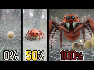 Aku 100% LABA LABA PELOMPAT di Nature And Life