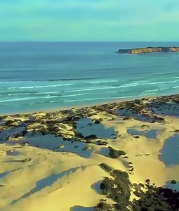 The Eyre Peninsula, in South Australia, is a stunning coastal region known for its pristine beaches, rugged landscapes, and diverse wildlife. It offers a mix of adventure, relaxation, and unique natural experiences, making it a popular destination for those seeking both outdoor activities and awe inspiring scenic views. Here are just some of the key highlights and tourist attractions on the Eyre Peninsula but there’s so much more to discover: Port Lincoln Known as the “Seafood Capital of Austral