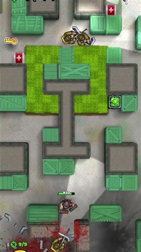 ninja should kills and level up 999