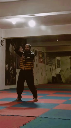 Explore Kung Fu Techniques for Strength and Agility