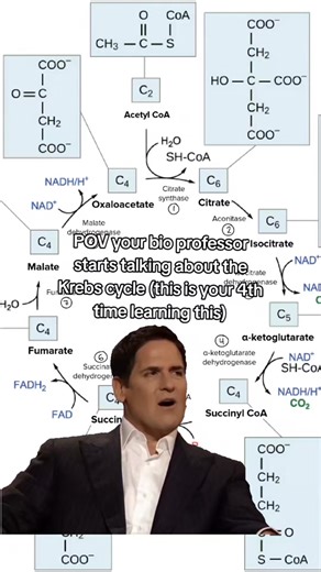"The tricarboxylic acid (TCA) cycle, also known as the Krebs cycle or ... | Biology