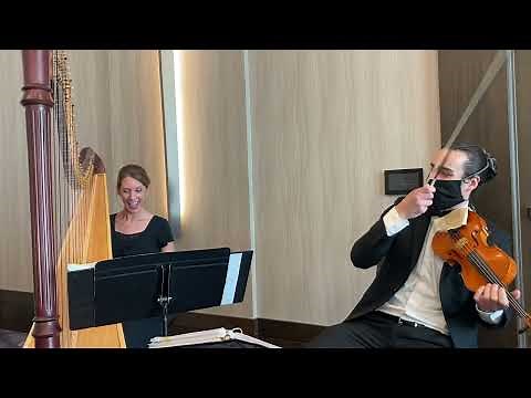 Canon in D by Pachelbel, harp and violin duo wedding ~ Columbus Musicians, LLC