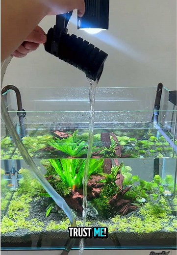 Effortless Aquarium Water Changes Explained