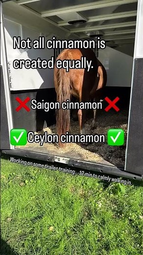 Ceylon Cinnamon VS Saigon Cinnamon