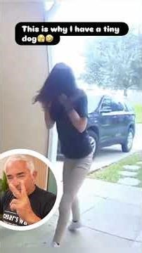 Why do so many people get pulled, dragged, or injured on walks?