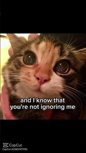 Bestie text me back #sendthistoyourbestie #memes #love