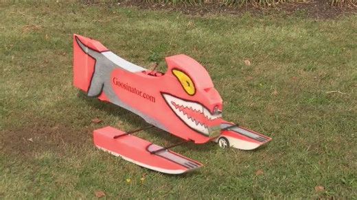 WATCH: No more wild goose chases: Meet the Goosinator in Moline