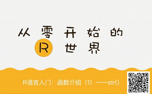 R语言入门：函数介绍（1）——str()