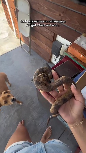 we have rattle snakes in our area too so he always paranoid 😂 #theaguilars #dad #prank #joke #memes | Natalie Family