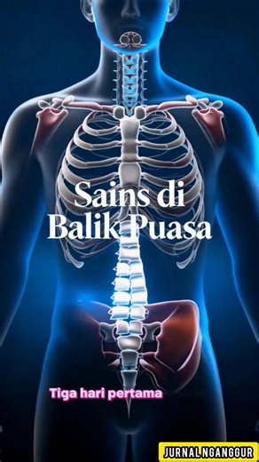 3 Hari Pertama Puasa: Tubuh Bakar Lemak? Ini Fakta Sainsnya #facts