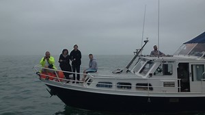 Varsity Channel Relay Swim - Cambridge