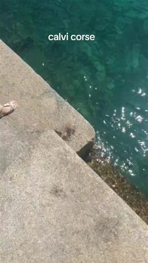Calvi Corsica travel guide: Best sights, beaches and tips