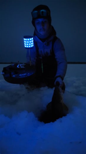 🚨 AVAILABLE NOW 🚨 The Watchtower Tip Ups are in stock! These new tip ups feature a 360-degree flashing LED light (🔴, 🔵, or 🟢) that alerts you when your flag is tripped. Paired with a fully insulated base (fits over 10-inch holes), an insulated carrying case, and a quality spool and spindle, the Watchtower is built to handle the harshest winter weather. If you plan on doing any nighttime fishing—or just want to see your flags more easily during the day—these are a must-have! 💡 #clamoutdoors