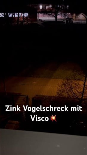 Zink Vogelschreck mit Visco (2025)