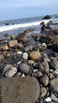 室戸のゴツゴツの海岸をただ歩く