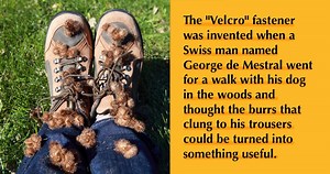 10 Interesting Innovations Inspired by Nature