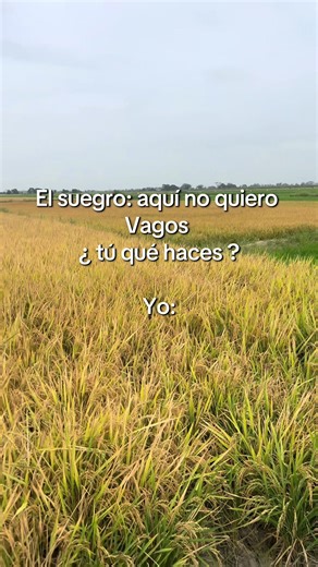 Iron Man in Agriculture: A New Era in Farming