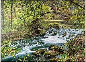 MyPuzzle Alley Spring, Missouri, USA - Premium 1000 Piece Jigsaw Puzzle for Adults