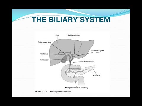 Acute Cholecystitis and Cholangitis