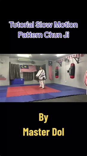 Master Dol Taekwondo Tutorial: Slow Motion Pattern Chun Ji