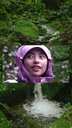Behind the Scenes in Yakushima