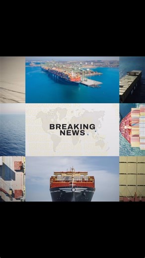 MSC Mediterranean Shipping Co | We’re excited to unveil MSC’s future standalone East/West network, set to launch in February 2025! 🚢 🌍 This new network will feature 34... | Instagram