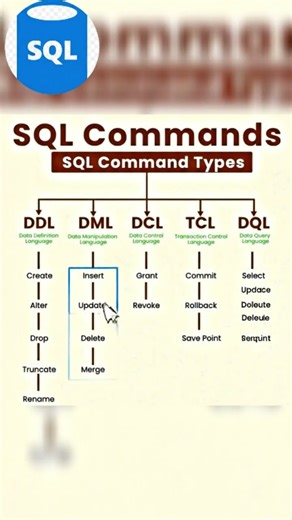 SQL Commands #sql #sqlcommands
