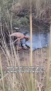1.5K views · 6 comments | What the hell is that? Weird humanoid spotted in Brazil. | Desiworldfacts | Facebook