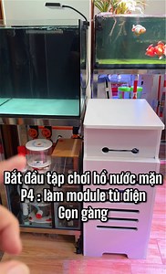 46K views · 282 reactions | Xử lý gọn gàng thiết bị điện và chiller cho hồ nước mặn đang làm bằng 1 module tự chế Hoài Tuấn #tuấnmêcá #tulamhoca #tulamhocabien #tapnuoicabien #hanhtrinhchoihonuocman | Tuấn Mê Cá | Facebook