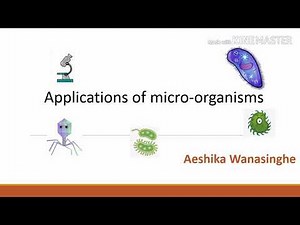 Application of microorganism, Scientific names of microorganism, Grade 9 Science
