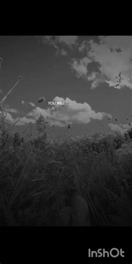 the nights lyrics #music #song