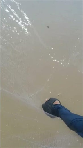 โดดด่งๆแท้ #ยกยอ #fishing #วิถีชีวิตชนบท