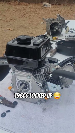 196cc Engine Locked Up 😂