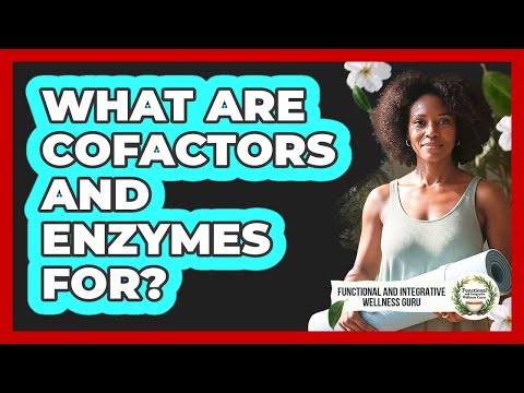What Are Cofactors And Enzymes For?